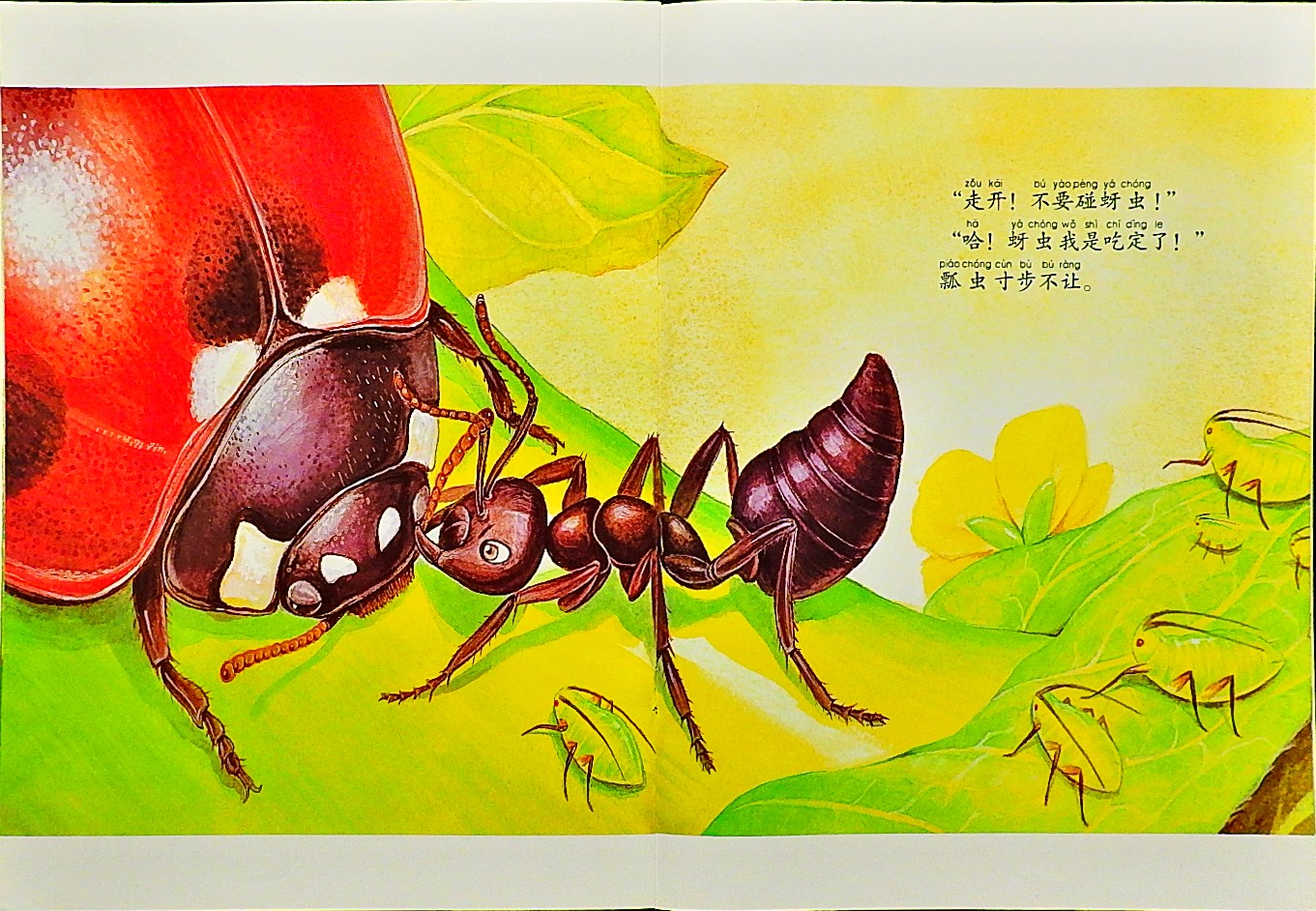 勇敢的小蚂蚁 (09),绘本,绘本故事,绘本阅读,故事书,童书,图画书,课外阅读